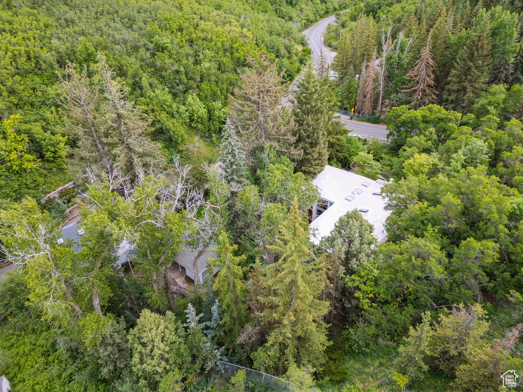 Aerial view of a forest