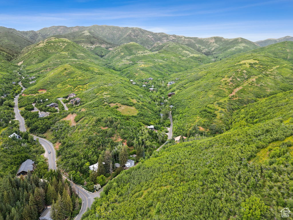 Mountain view with a heavily wooded area