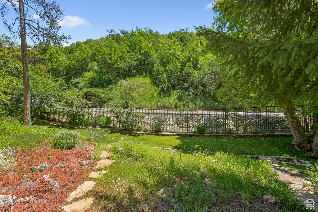View of yard with a wooded view