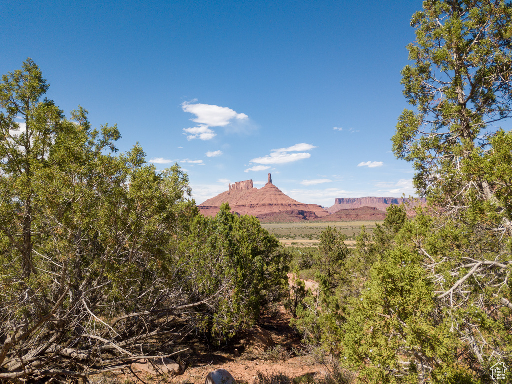 338 TAYLOR LN Castle Valley, UT 84532