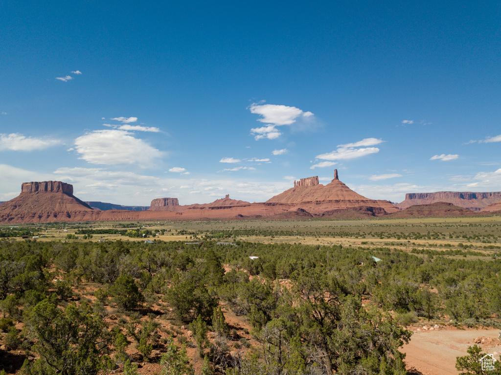 338 TAYLOR LN Castle Valley, UT 84532