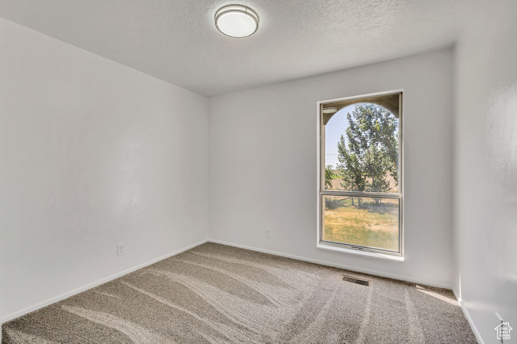 Unfurnished room featuring carpet and a textured ceiling