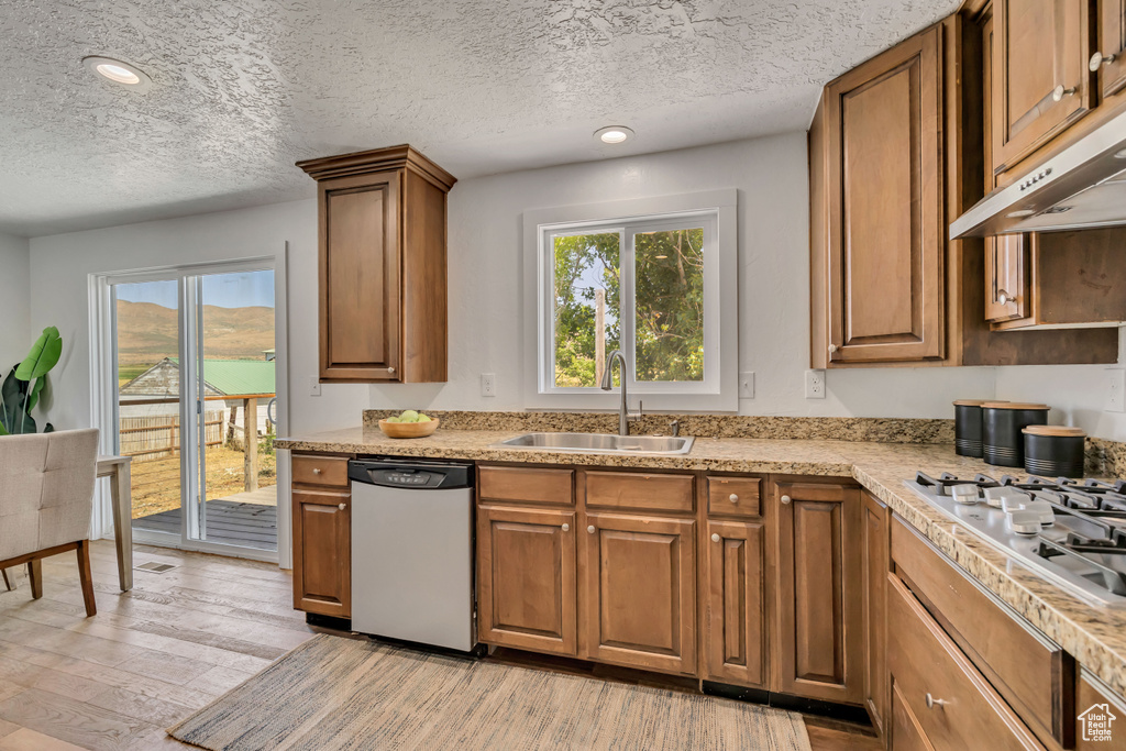 Kitchen featuring appliances with stainless steel finishes, under cabinet range hood, light wood-type flooring, brown cabinets, and plenty of natural light
