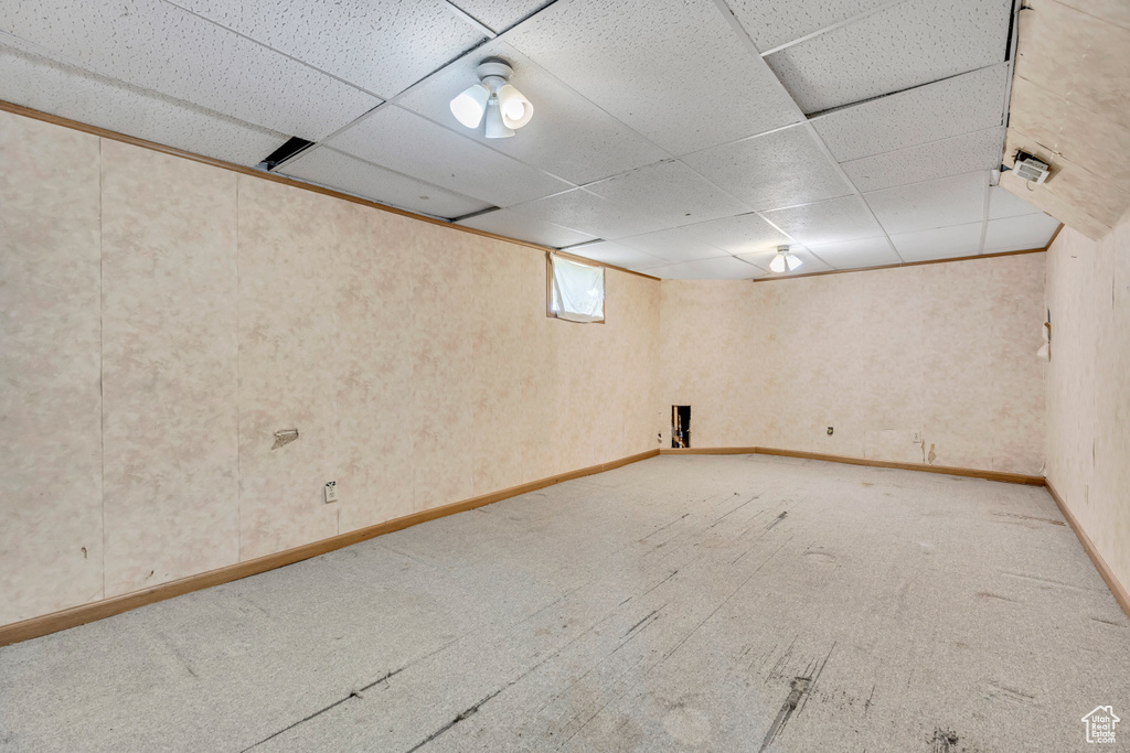 Below grade area featuring a drop ceiling and light carpet