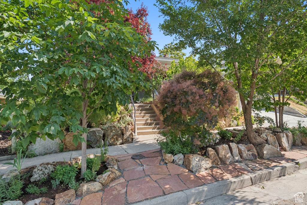 View of yard featuring stairs