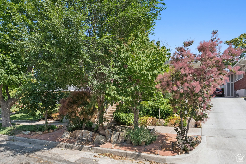 View of front of property featuring driveway and stairway