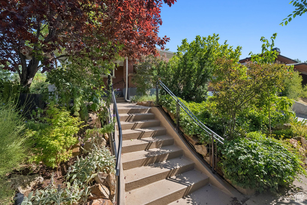 View of stairway