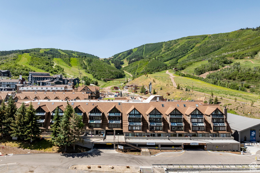 Mountain view