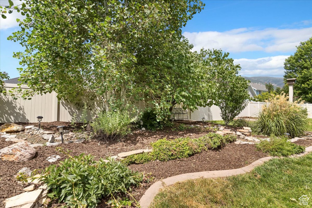View of fenced backyard