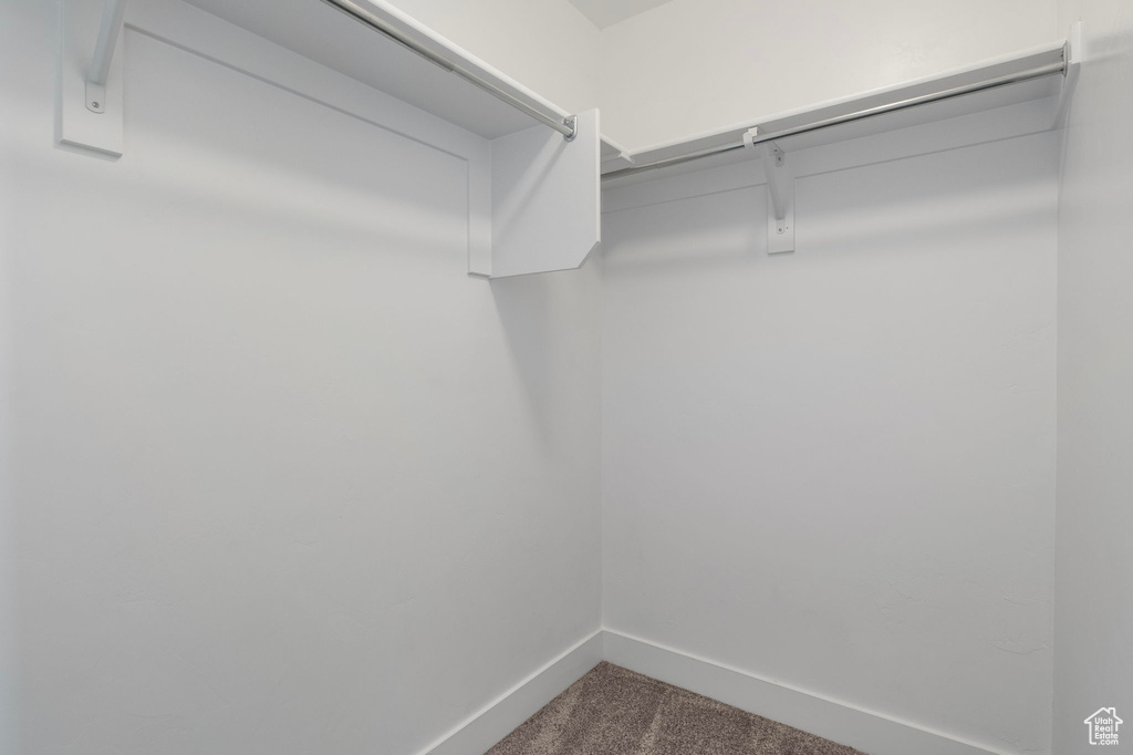 Spacious closet featuring dark colored carpet