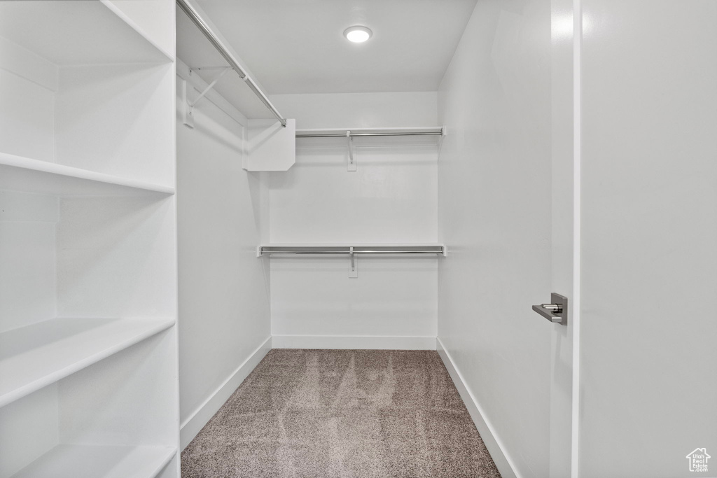 Spacious closet with carpet flooring