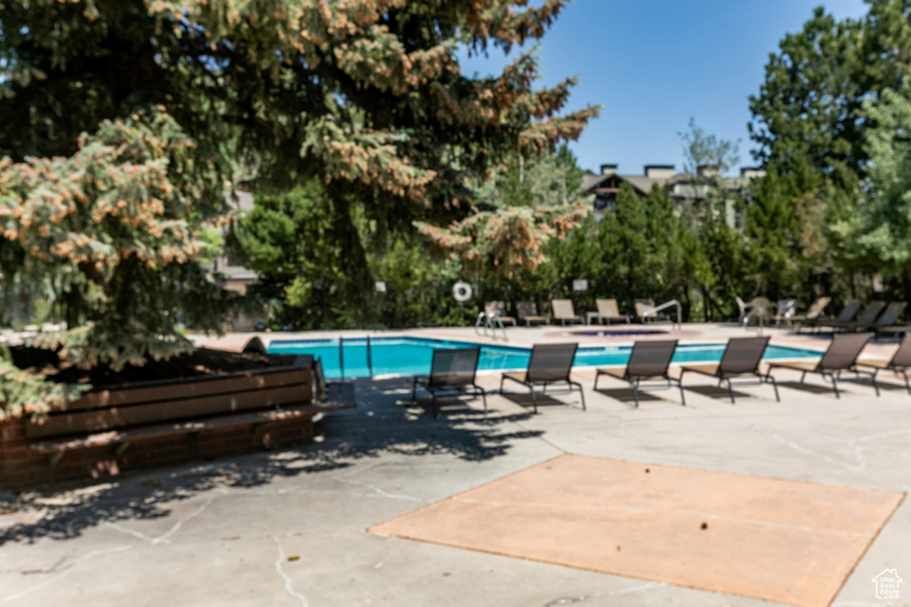 Community pool featuring a patio area and view of scattered trees