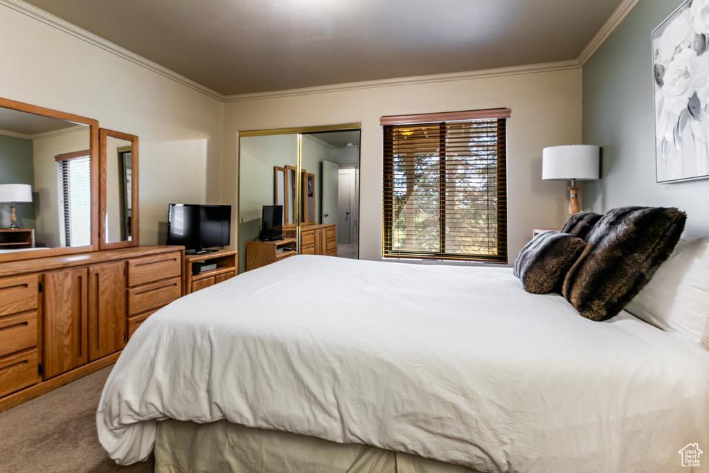 Carpeted bedroom with ornamental molding, multiple windows, and a closet