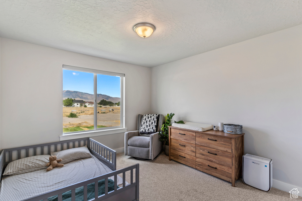 Bedroom featuring light carpet, a mountain view, and a textured ceiling