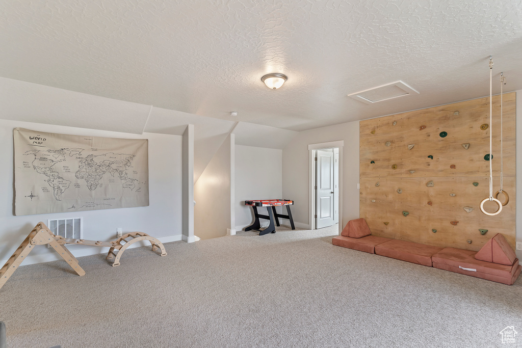 Additional living space with attic access, carpet floors, a textured ceiling, and vaulted ceiling