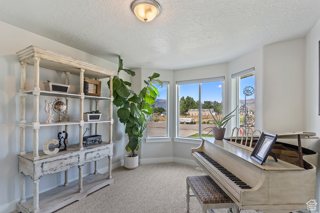 Living area featuring carpet and a textured ceiling