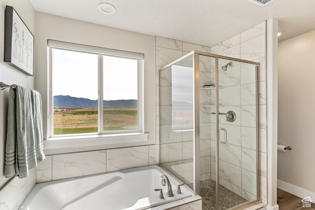 Full bathroom with a mountain view, plenty of natural light, a garden tub, and a stall shower