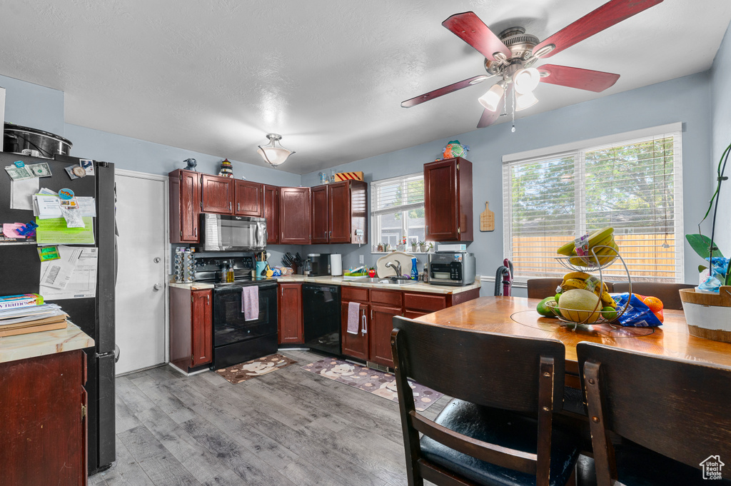 Kitchen with black appliances, light countertops, light wood-style flooring, and ceiling fan