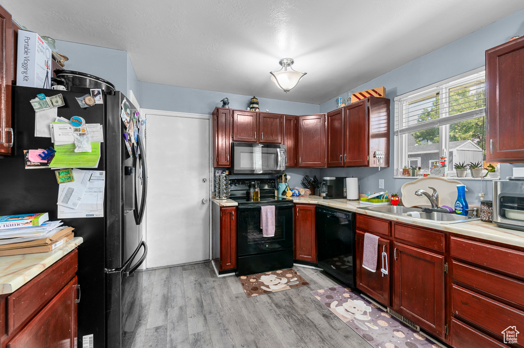 Kitchen featuring black appliances, light wood-type flooring, light countertops, and dark brown cabinets