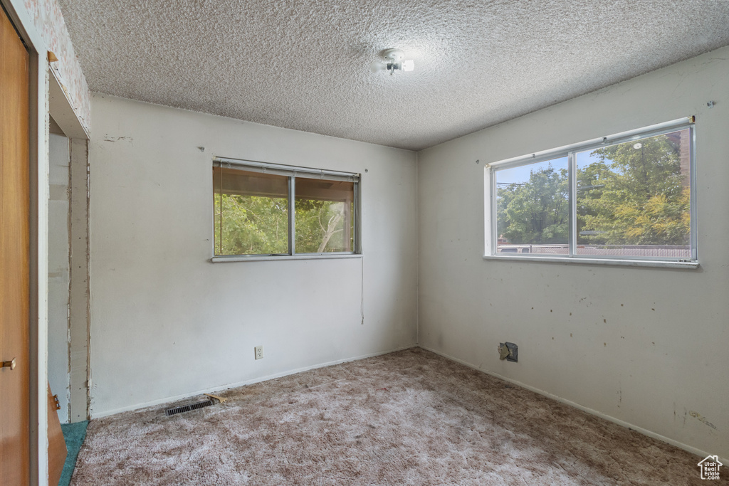 Unfurnished bedroom with a textured ceiling, carpet, and multiple windows