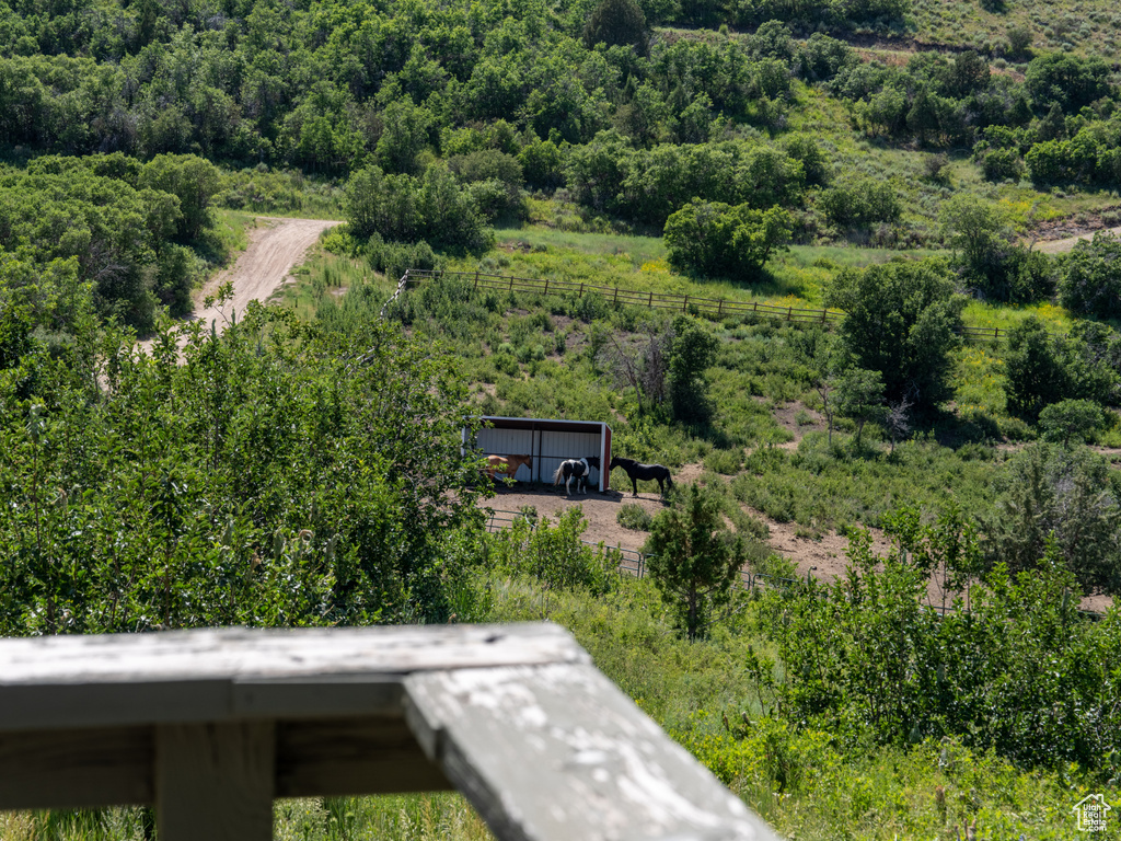 Bird\\\'s eye view of a heavily wooded area
