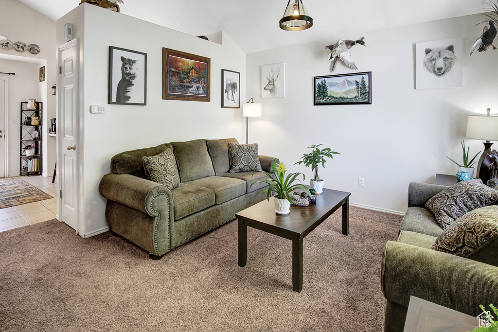 Tiled living area with carpet and baseboards