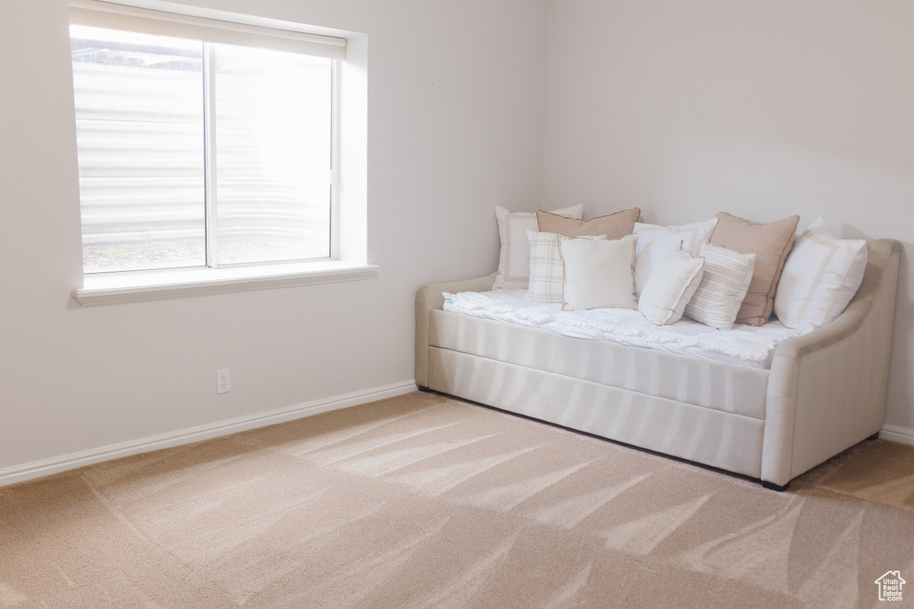 Carpeted bedroom featuring multiple windows