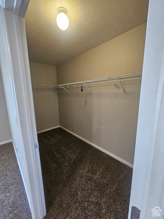 Spacious closet with dark carpet