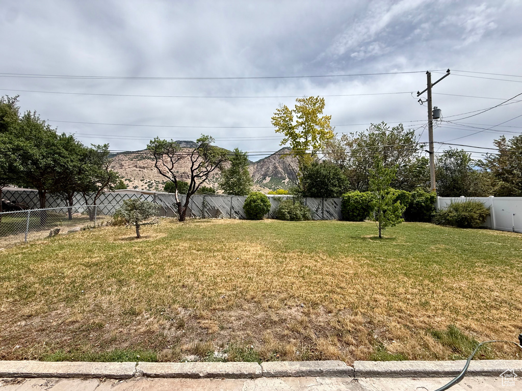 View of fenced backyard