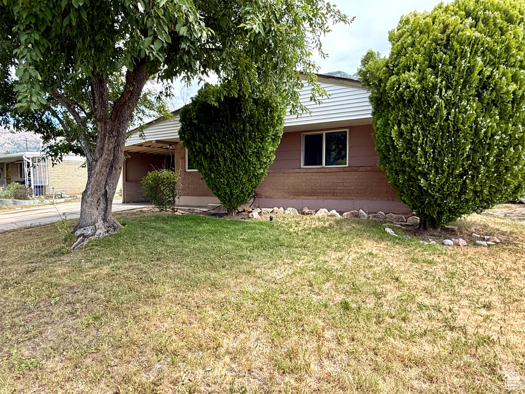 Obstructed view of property with brick siding and a front yard