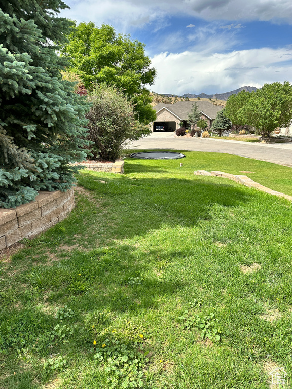 View of grassy yard with a mountain view