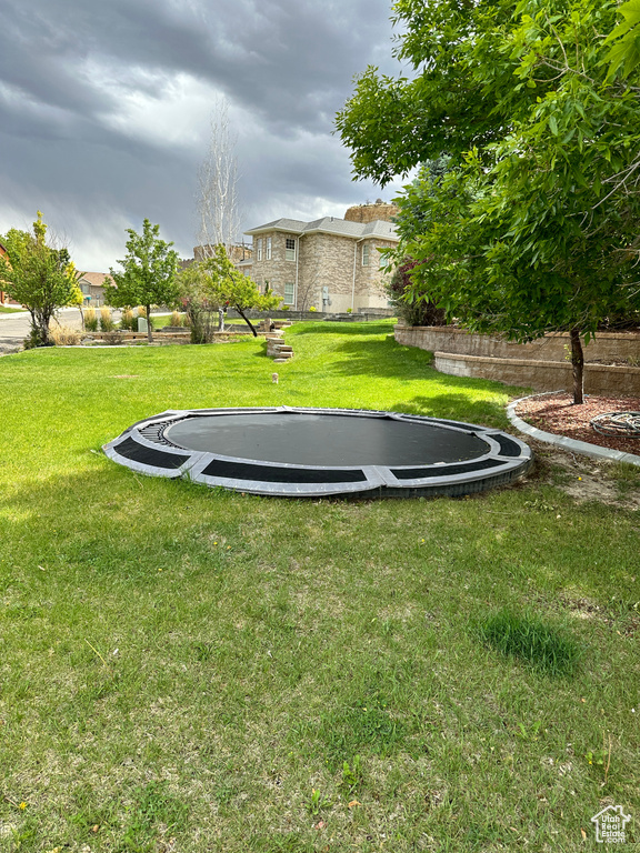 View of green lawn with a trampoline