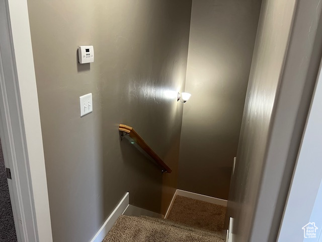 Stairs featuring carpet and baseboards