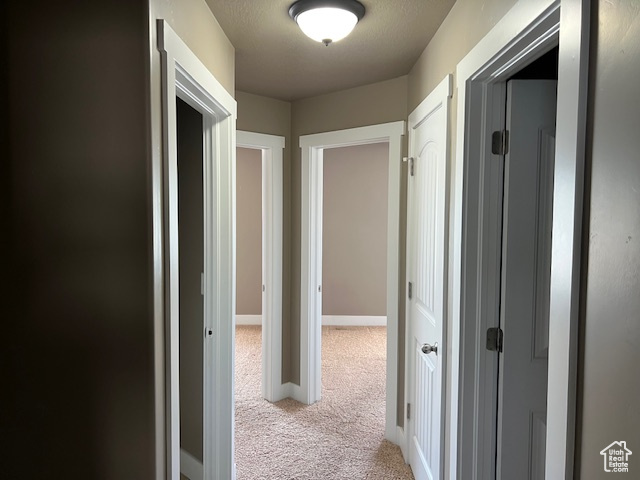 Hall featuring carpet flooring and baseboards