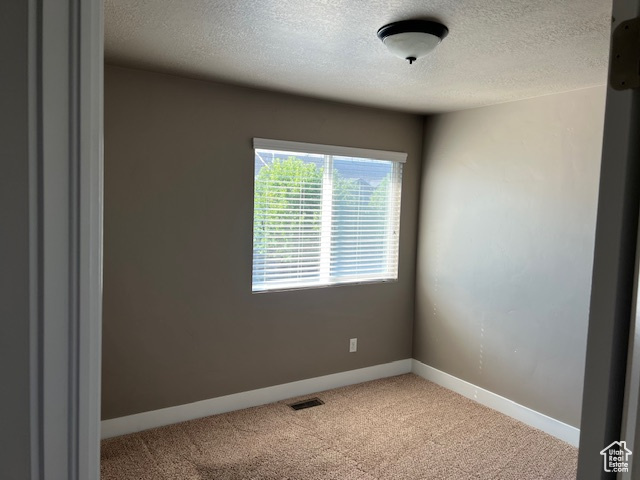 Unfurnished room featuring light colored carpet and a textured ceiling
