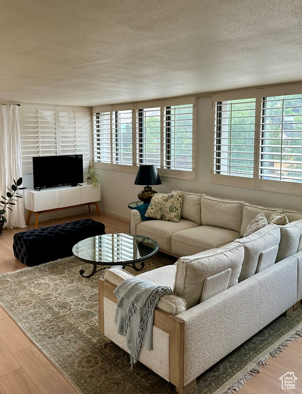 Living room featuring wood finished floors, healthy amount of natural light, and a textured ceiling