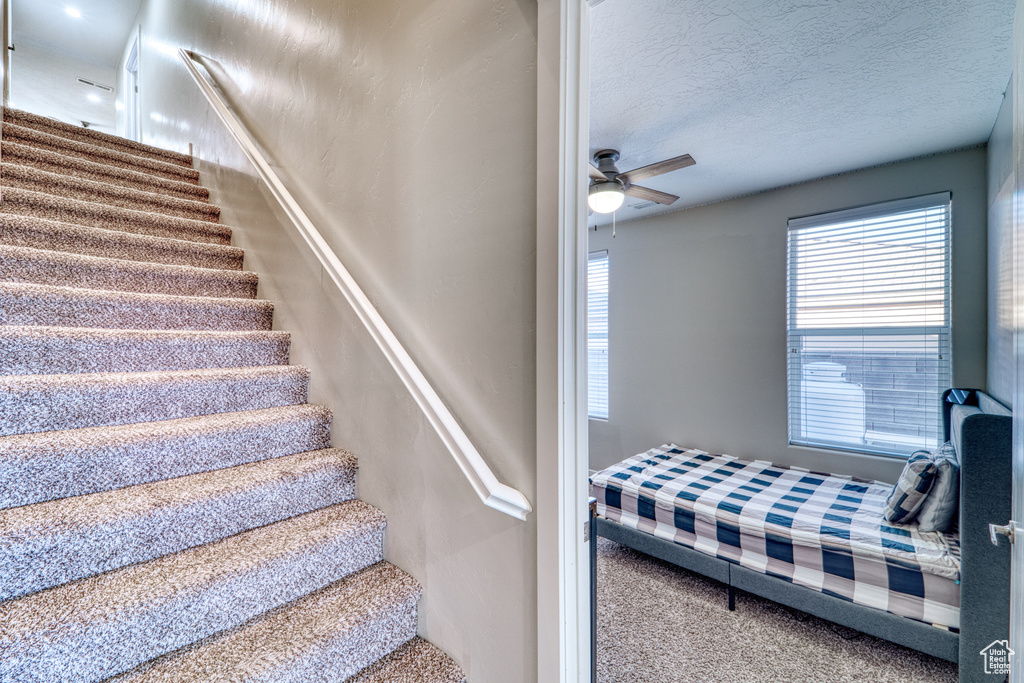 Stairway with carpet flooring, ceiling fan, and a textured ceiling
