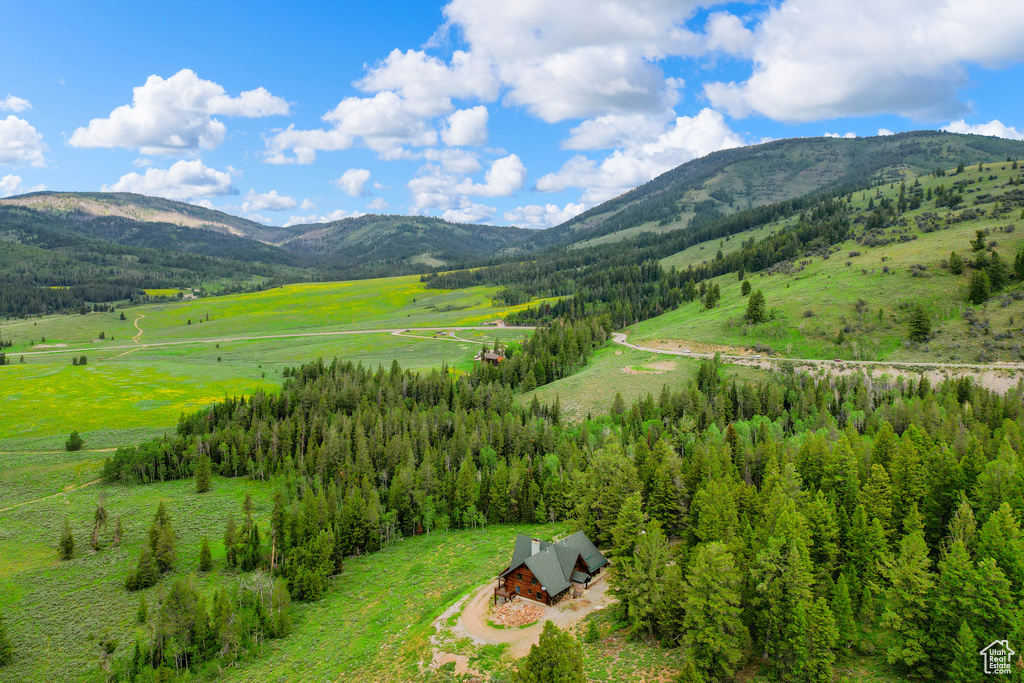 View of mountain backdrop with a forest
