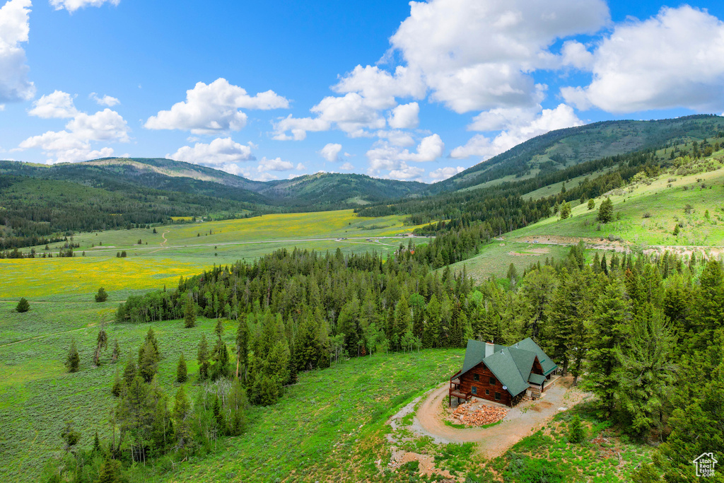 View of mountain backdrop featuring a forest