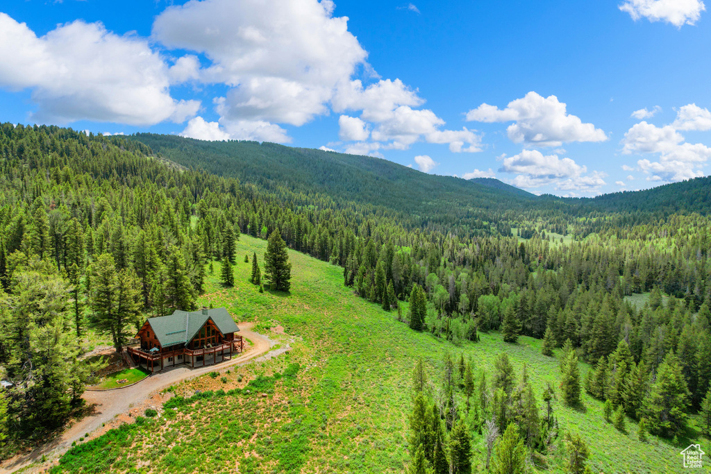 View of mountain backdrop with a forest