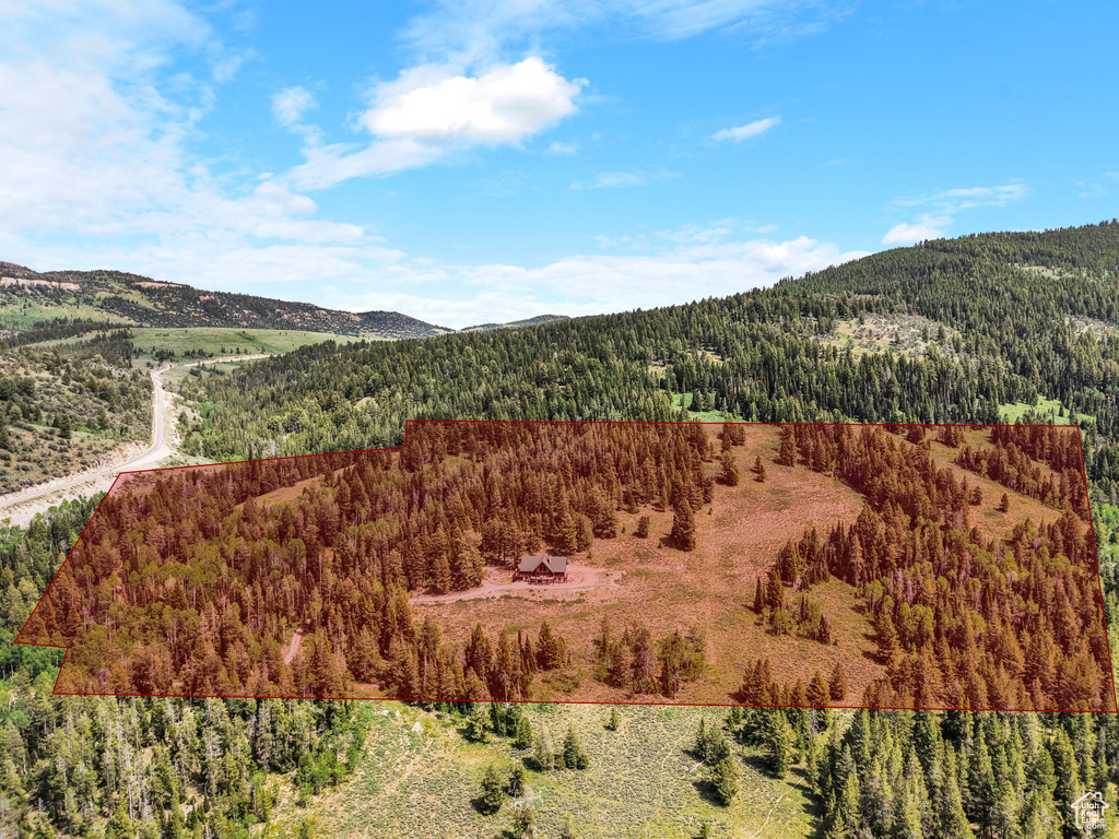 Mountain view with a heavily wooded area
