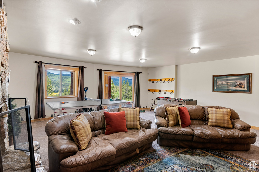 Living area with carpet flooring