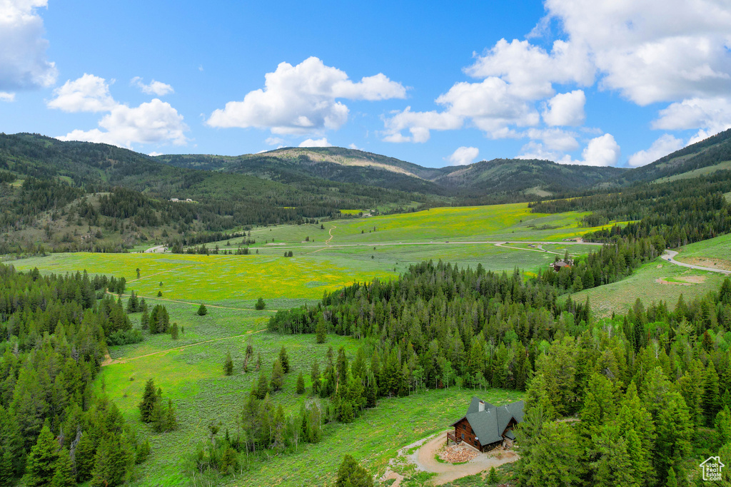 View of mountain backdrop with a heavily wooded area and rural landscape