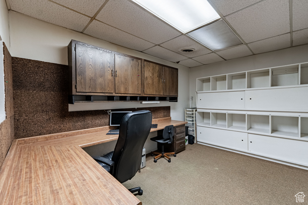 Carpeted office space with a drop ceiling
