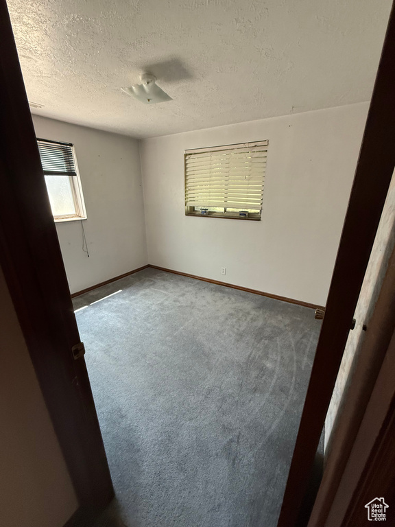 Unfurnished room with carpet floors and a textured ceiling