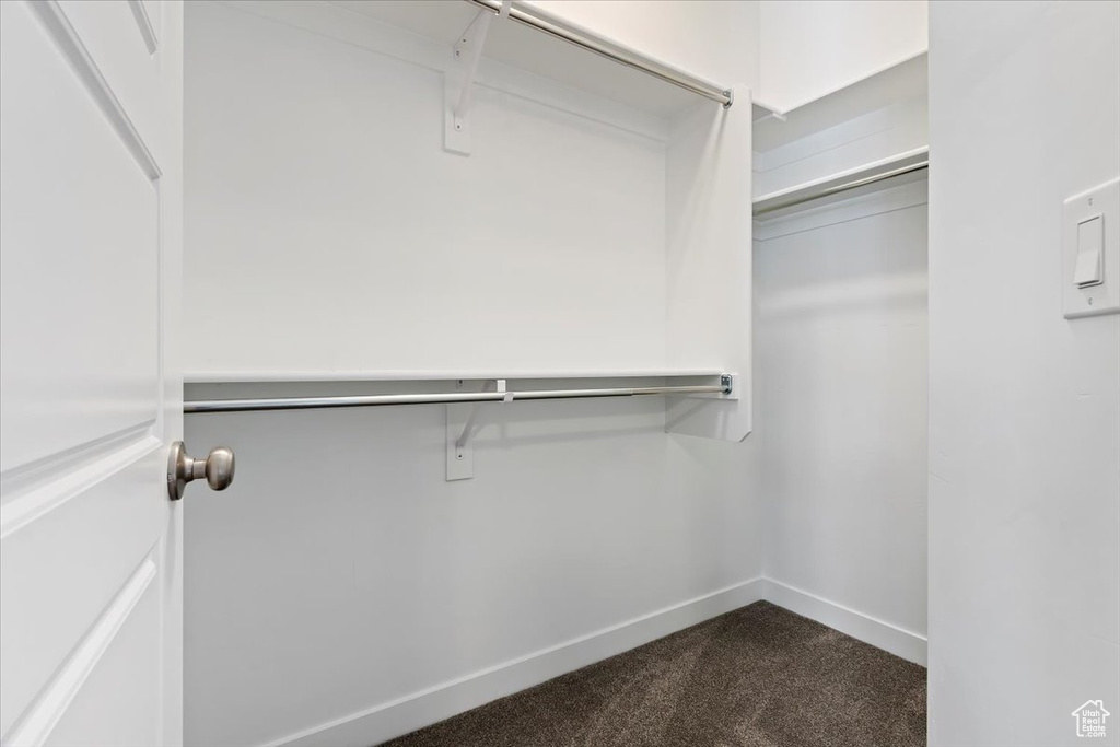 Spacious closet with dark carpet