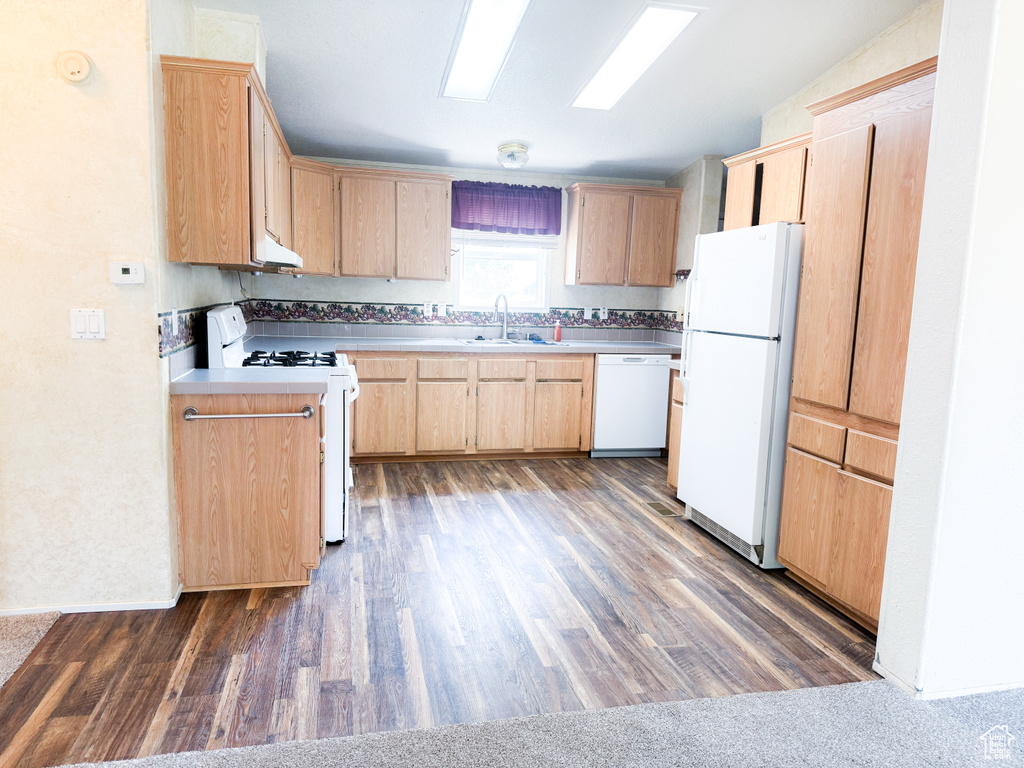 Kitchen featuring white appliances, light brown cabinets, dark wood-type flooring, light countertops, and under cabinet range hood