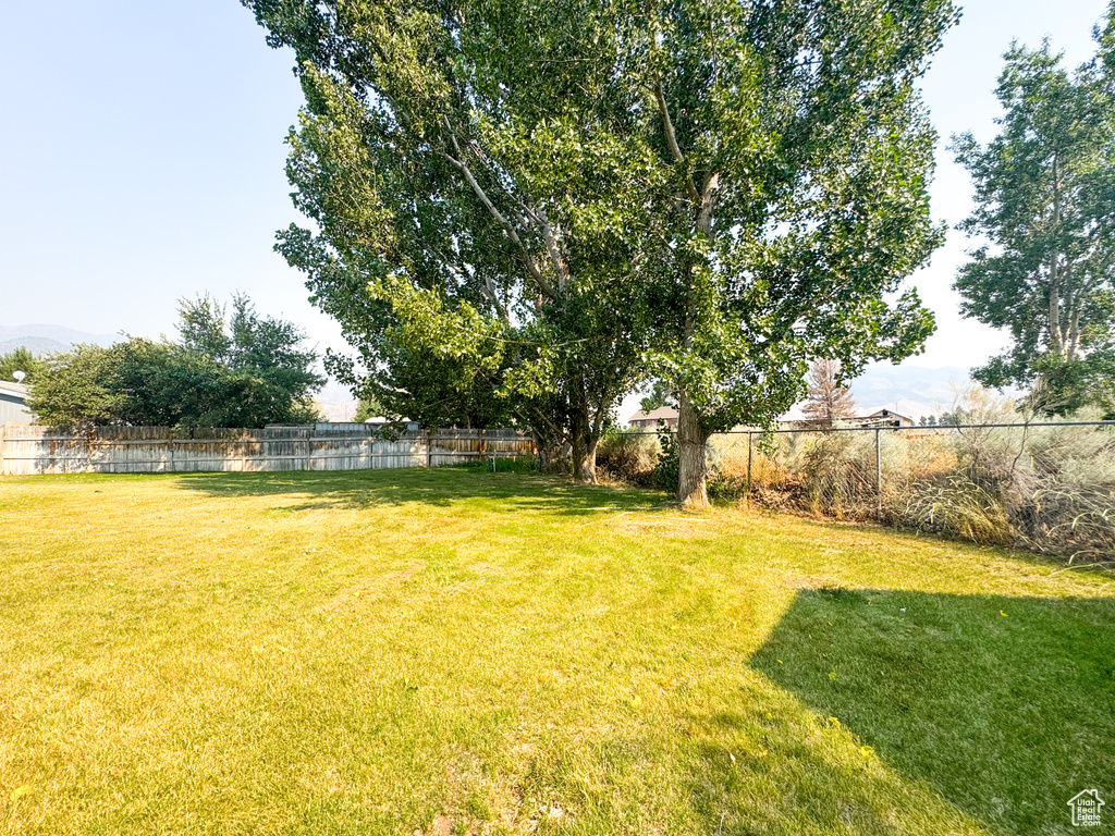 View of fenced backyard