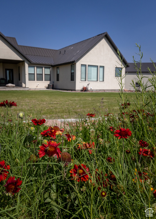 Rear view of property featuring a metal roof, stucco siding, a lawn, and a standing seam roof