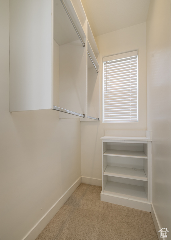 Walk in closet featuring carpet floors